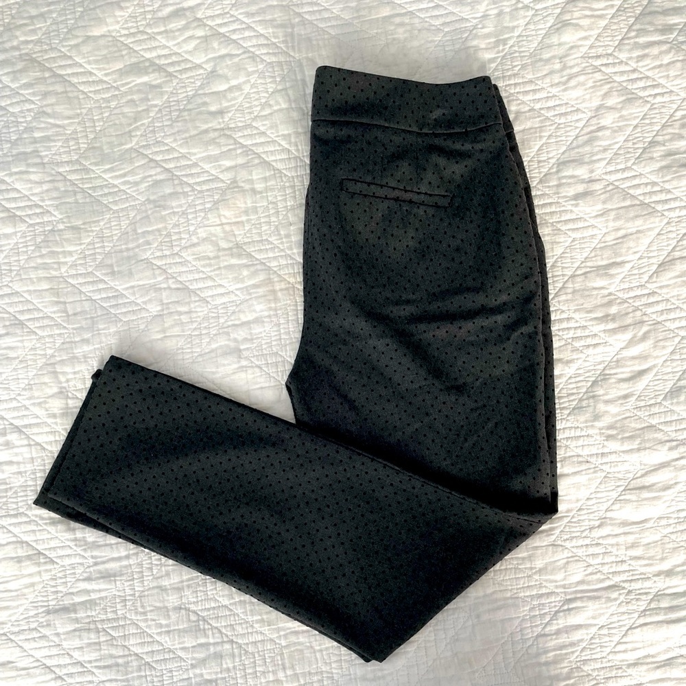 Loft - Velvet Polka Dot Pants